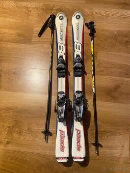 Dynastar lyže + palice Gryf