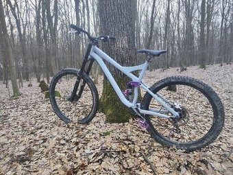 Specialized FSR