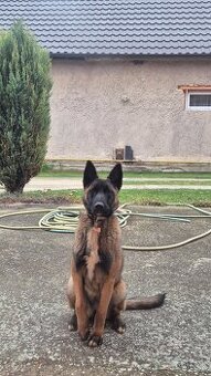 Darujem do dobrých rúk