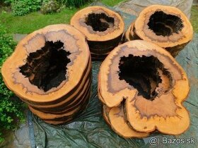 Koláče -  orechové drevo, fošne, rezivo
