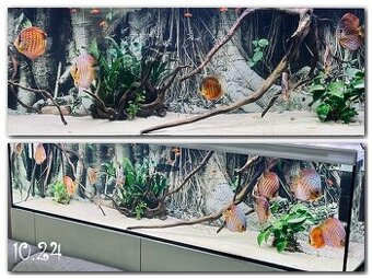 Predám Akvarium 360l +kovova skrinka