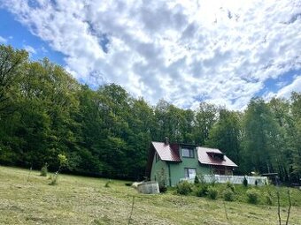 Na predaj chata pod lesom, Drietoma