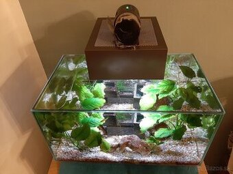 Predaj Akvarium Fluval edge komplet aj s rybickami - 1