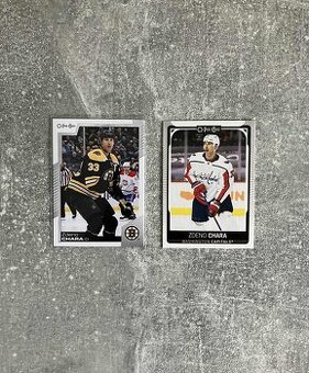 Hokejové kartičky Slováci v NHL 2