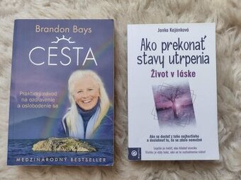 Cesta od Brandon Bays, Ako prekonať stavy utrpenia od Janka