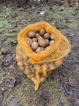 Predám sadbové zemiaky