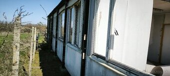 Unimo bunky
