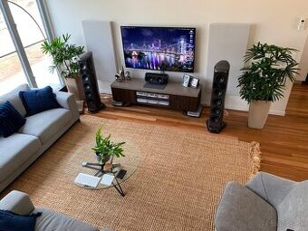 Mission Elegante 6.1 reproductory system - 1