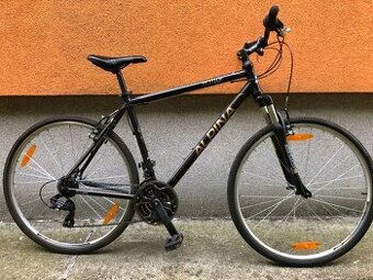 Kellys ALPINA ECO C10 - 29'' - L