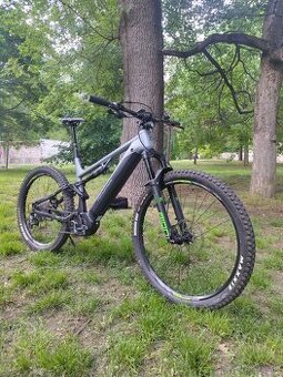 Full E-bike Genesis 2024 (velk.L)