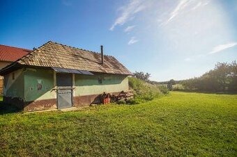 Na predaj pivničný dom v obci Svätý Peter - 1