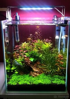 Akvárium 30L
