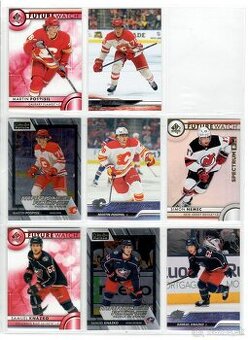 Hokejove karticky Slovakov v NHL