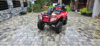 Arctic cat 1000