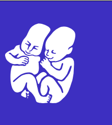 Kúpim AUSTAN PARKING NA POHODU 2026