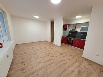 Prenájom 1 - izb byt Kanianka prerobený - 1