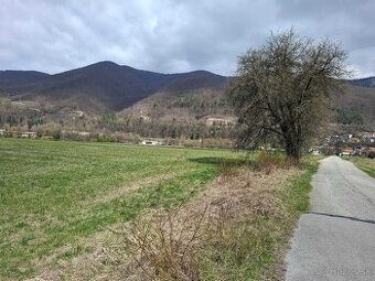 Na predaj orná pôda, Lipovec