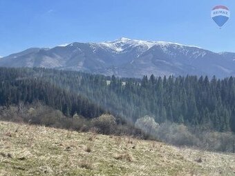 Predaj pozemku v obci Habovka o výmere 1012 m2