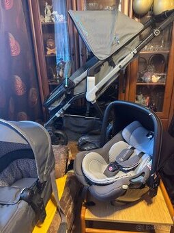 Kocik Concord Wanderer