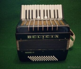 Akordeon, harmonika Delicia Junior IV