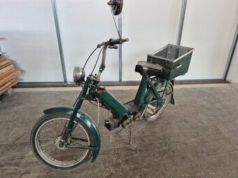 ✅️ BABETTA 207