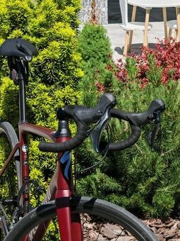 Specialized