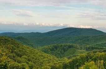 Slanské Vrchy - 7000 m2 LESNÉHO POZEMKU