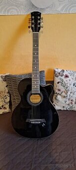 Predám gitaru Pasadena