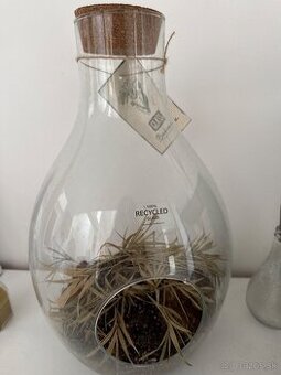 Akvarium pre rastliny