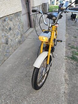 Babeta 206