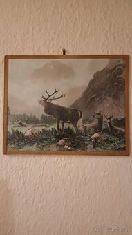 Staré poľovnícke obrazky