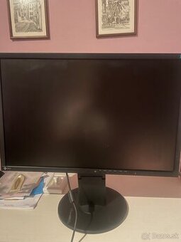 EIZO EV2216W 22" Monitor