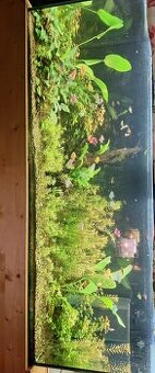 Predám prázdne akvárium 450l (150x50x70)