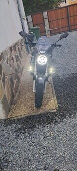 Predam Honda Hornet 600