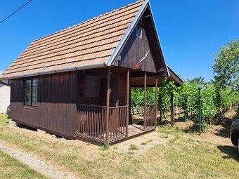 Predáme pozemok vinicu s chatou pri Podhájskej