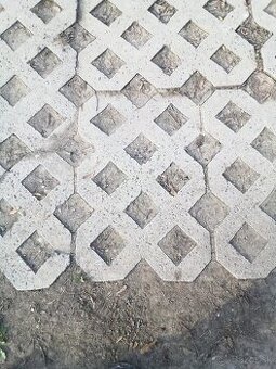 Zatrávňovacie tvárnice