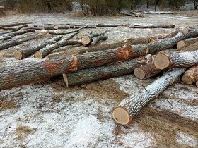 Palivové drevo, listnatá dubová vláknina
