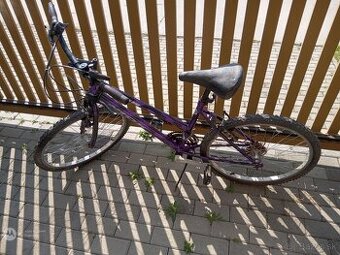 Horský bicykel 24