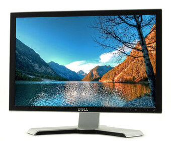 LCD Dell 20" 2009Wt