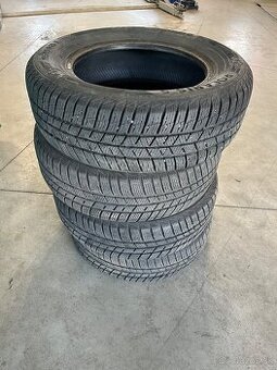 195/65r15 zimnné