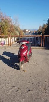 GY6 50CC 4t