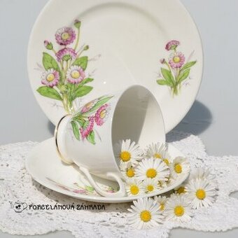 Starožitný anglický porcelánový trojset - sedmokráska