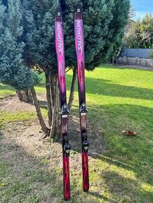 Salomon Evolution 7 lyže