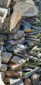 Predam drevo z orecha