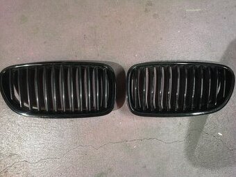 Ľadvinky (grill) Bmw f10