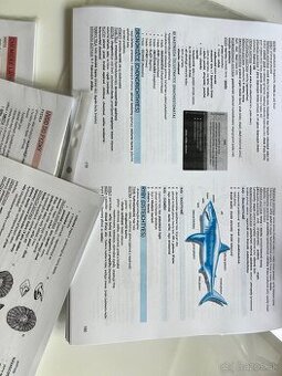 Príprava na maturitu a prijmacky - bio, chem, fyz
