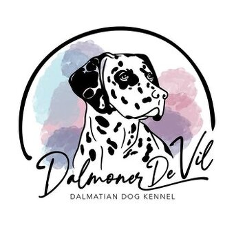 🐾CHS Dalmoner De Vil 🐾