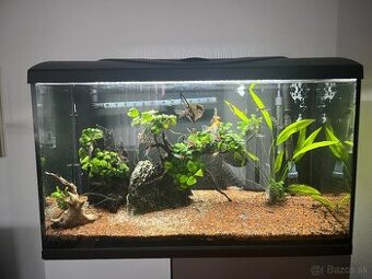 Predám akvárium