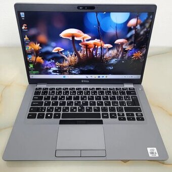 Dell Latitude 5410 i5-10210U 16GB 256GB NVMe Win11