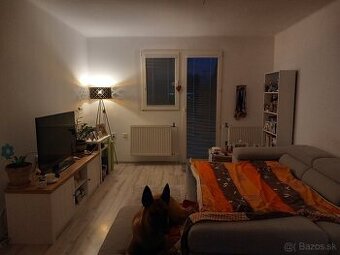 Predám 2- izbový byt